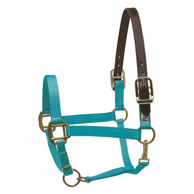 MINI A TURQUOISE SAFETY HALTER