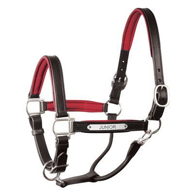 COB BLACK / RED PADDED LEATHER HALTER W / PLATE