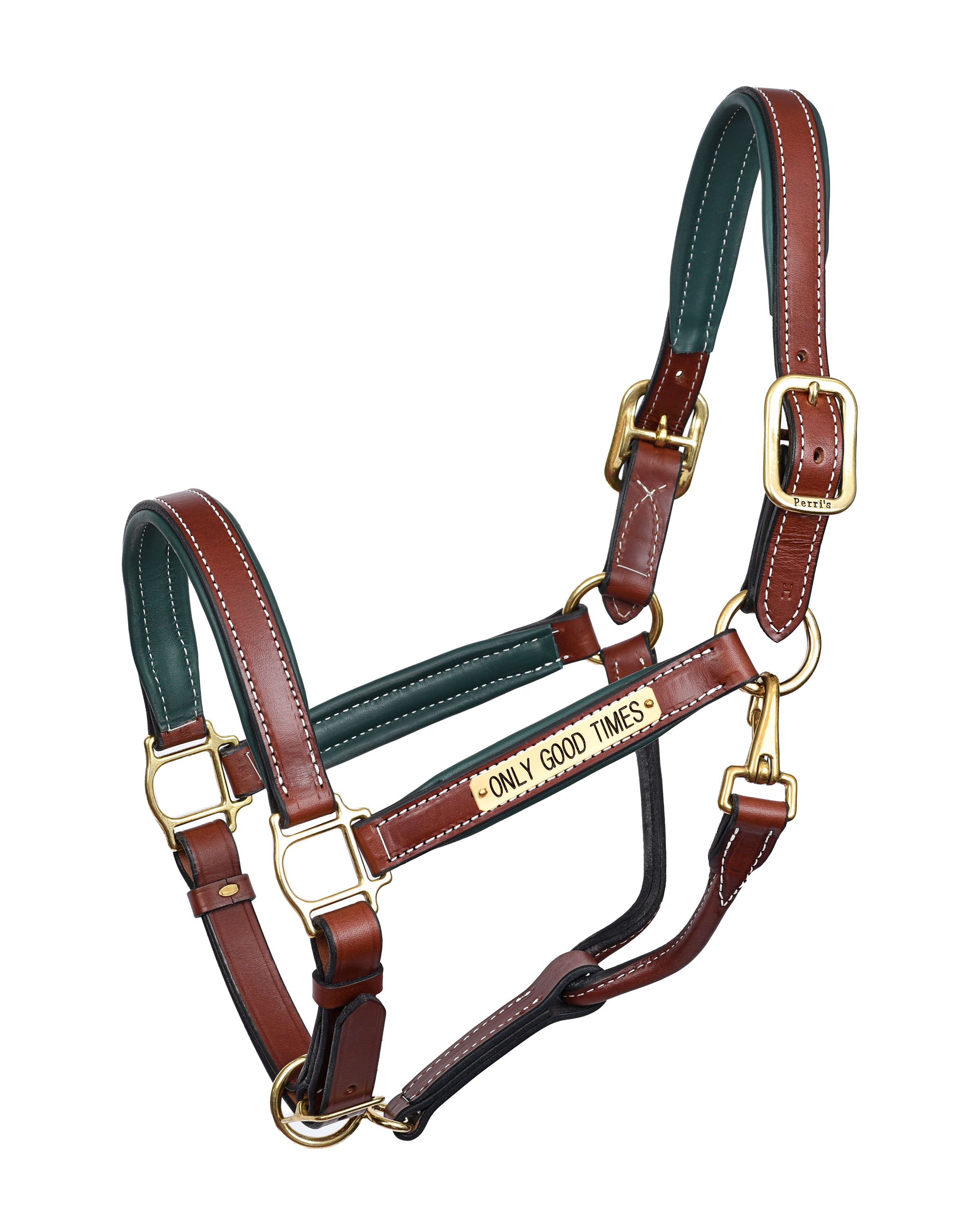 COB CHEST / HUNTER PAD LEATHER HALTER W / PLATE