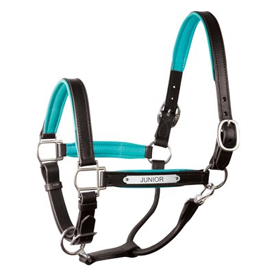 HORSE BLACK / TURQUOISE PADDED LEATHER HALTER W / PLATE