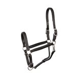 3 / 4" COB / HORSE PADDED LEATHER HALTERS