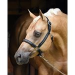 HORSE CHEVRON BLING BLACK PADDED HALTER W / STAINLESS STEEL HARDWARE