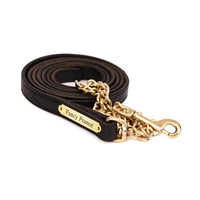 3 / 4" BLACK LEATHER LEAD W / BRASS CHAIN & PLATE