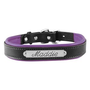 PADDED LEATHER DOG COLLAR W / PLATE
