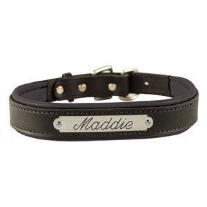 SMALL BLACK / BLACK PADDED LEATHER DOG COLLAR W / PLATE