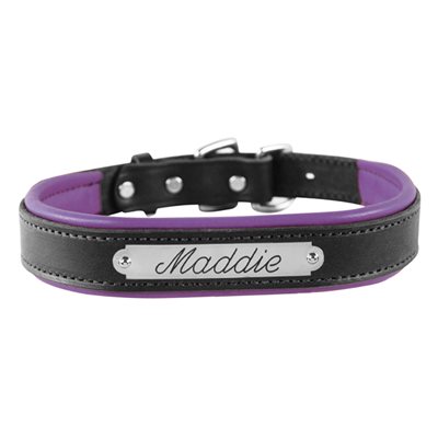SMALL BLACK / PURPLE PADDED LEATHER DOG COLLAR W / PLATE