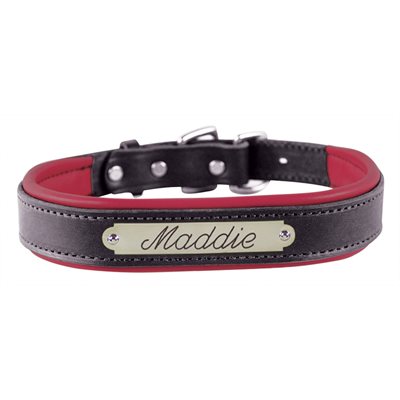 SMALL BLACK / RED PADDED LEATHER DOG COLLAR W / PLATE