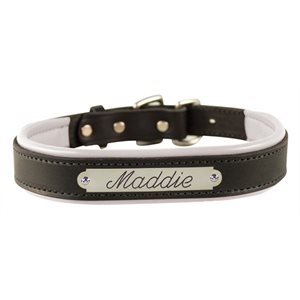 SMALL BLACK / WHITE PADDED LEATHER DOG COLLAR W / PLATE