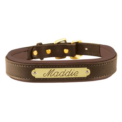 SMALL HAVANA / BROWN PADDED LEATHER DOG COLLAR W / PLATE