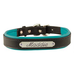 EXTRA LARGE BLACK / TURQUOISE PADDED LEATHER DOG COLLAR W / PLATE