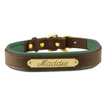 EXTRA LARGE HAVANA / HUNTER GREEN PADDED LEATHER DOG COLLAR W / PLATE