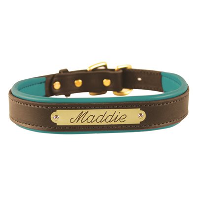 EXTRA LARGE HAVANA / TURQUOISE PADDED LEATHER DOG COLLAR W / PLATE