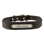 EXTRA SMALL BLACK / BLACK PADDED LEATHER DOG COLLAR W / PLATE