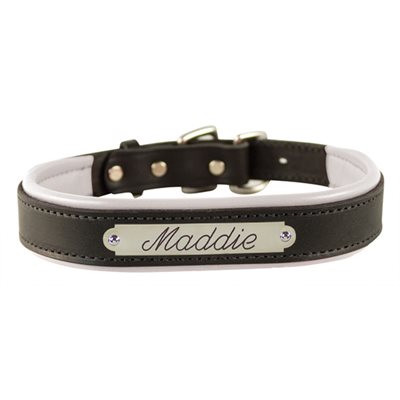 BLACK / WHITE EXTRA SMALL PADDED LEATHER DOG COLLAR W / PLATE