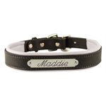 BLACK / WHITE EXTRA SMALL PADDED LEATHER DOG COLLAR W / PLATE