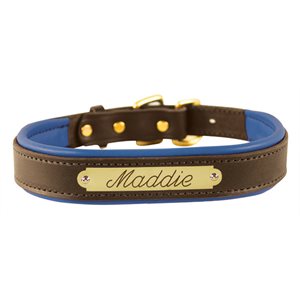 HAVANA / BLUE EXTRA SMALL PADDED LEATHER DOG COLLAR W / PLATE