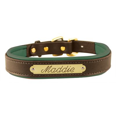 HAVANA / HUNTER GREEN EXTRA SMALL PADDED LEATHER DOG COLLAR W / PLATE