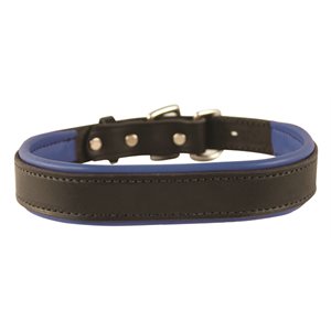 BLACK / BLUE SMALL PADDED LEATHER DOG COLLAR 