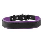 BLACK / PURPLE EXTRA SMALL PADDED LEATHER DOG COLLAR