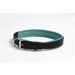 BLACK / TURQUOISE EXTRA SMALL PADDED LEATHER DOG COLLAR