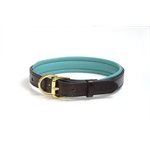 HAVANA / TURQUOISE EXTRA SMALL PADDED LEATHER DOG COLLAR