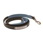 PADDED LEATHER DOG LEASH W / PLATE