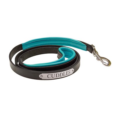 BLACK / TURQUOISE PADDED LEATHER DOG LEASH W / PLATE