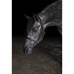 HEAVY DUTY HORSE TRACK HALTER W / SNAP