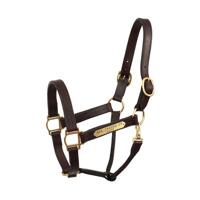 HAV YEARLING HEAVY WT W / SNAP LEATHER HALTER W / PLATE