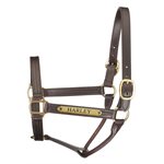 PREMIUM TRACK STYLE LEATHER SHOW HALTER W / PLATE