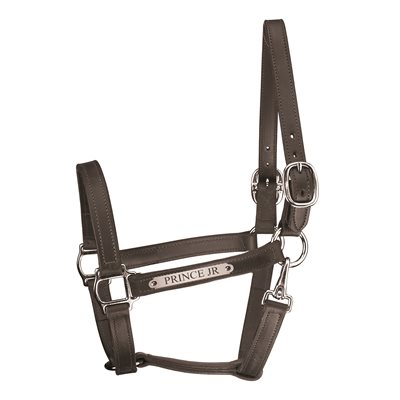 BLK W / CHROME HORSE 1" TRACK W / SNAP HALTER W / PLATE