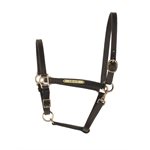 BLACK HORSE 3 / 4" LEATHER TURNOUT HALTER W / PLATE