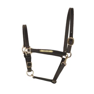 BLACK PONY 3 / 4" LEATHER TURNOUT HALTER W / PLATE