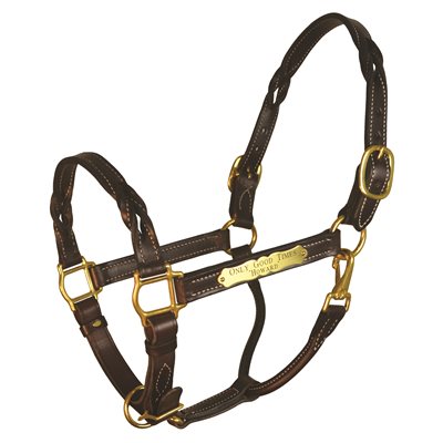 HORSE HAVANA TWISTED LEATHER HALTER W / PLATE