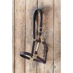 FANCY STITCHED COB LEATHER HALTER WITH PLATE