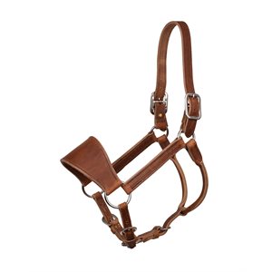 LEATHER RANCH HALTER - HORSE SIZE