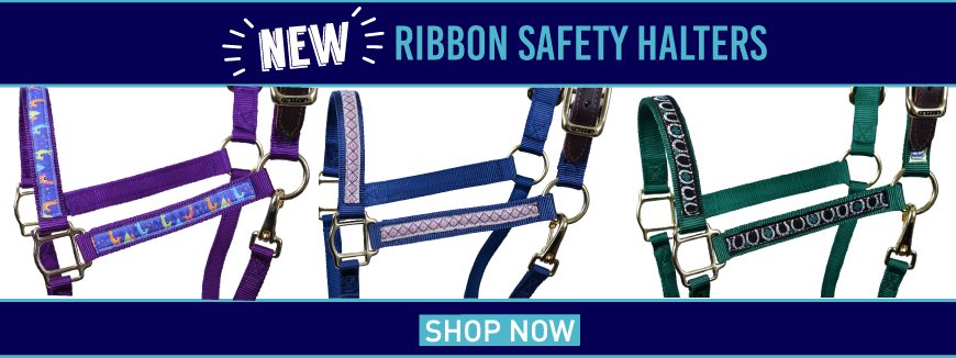 Horse nylon safety halter with decorative ribbon